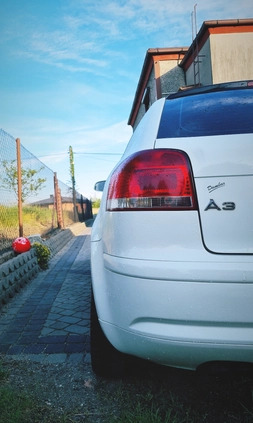Audi A3 cena 12000 przebieg: 347000, rok produkcji 2004 z Rybnik małe 29